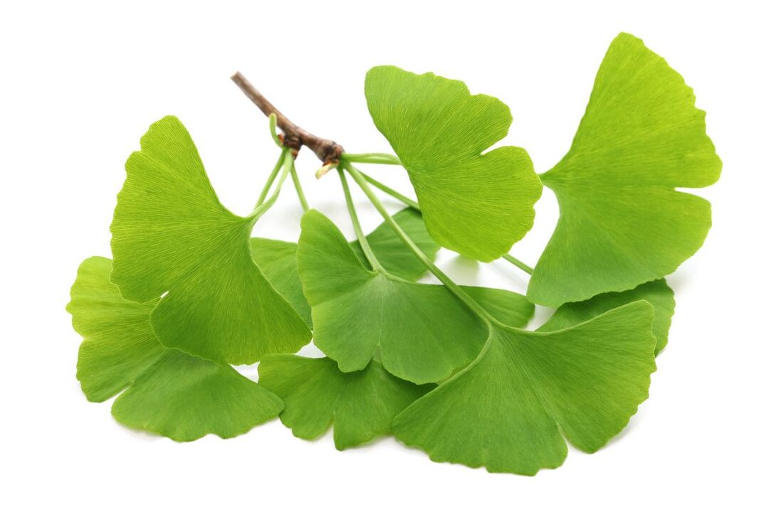 ginko biloba v kapkách Alcozar